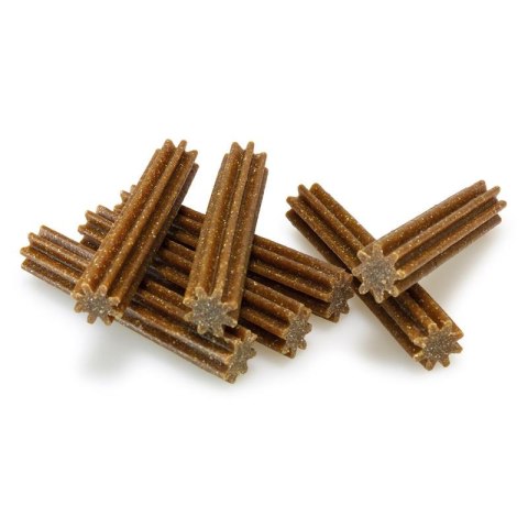 ARQUIVET Dentalstick 7 szt Arquivet