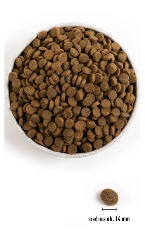 Acana Regionals Pacifica Dog 2kg