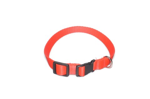 A-004 OBROŻA TAŚMA 20mm/26-44cm ALIZOO