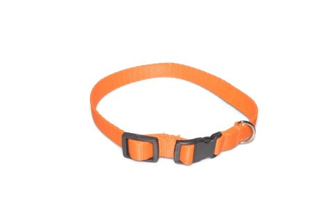 A-004 OBROŻA TAŚMA 20mm/26-44cm ALIZOO