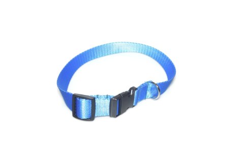 A-005 OBROŻA TAŚMA 25mm/34-55cm ALIZOO