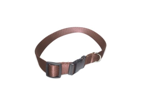 A-006 OBROŻA TAŚMA 30mm/38-65cm ALIZOO