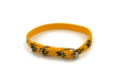 A-155 Obroża dla psa łapki metal 15mm/30-41cm ALIZOO