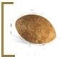 ROYAL CANIN Persian Adult 10kg+2kg