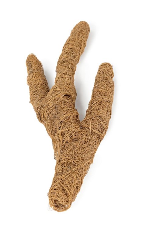 Kokosowa gałąź Troncho S - 40cm