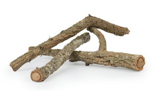 KOREK GAŁĄŹ 50 cm