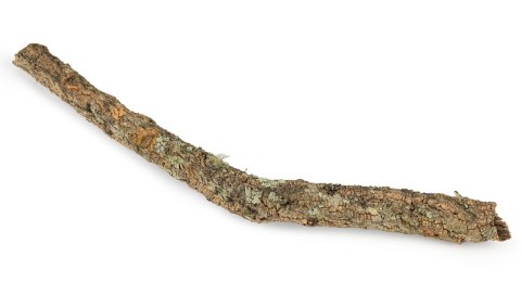 KOREK GAŁĄŹ 50 cm