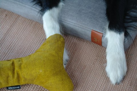 Materac ortopedyczny dla psa - Basic Ross