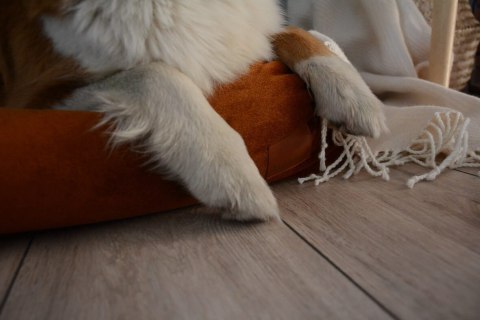 Legowisko ortopedyczne dla psa - Cuddle Vivo