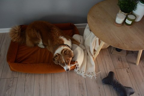 Legowisko ortopedyczne dla psa - Cuddle Vivo