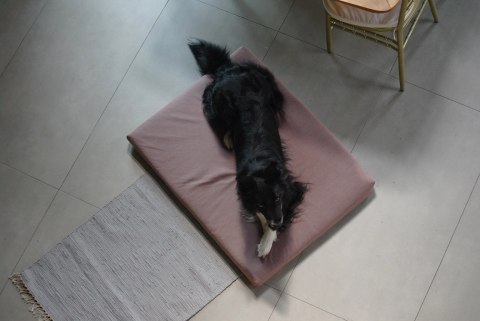 Materac ortopedyczny dla psa - Basic Ross