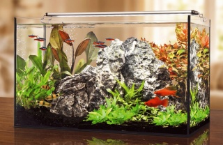 Zestaw akwariowy Happet LED AKWARIUM 40