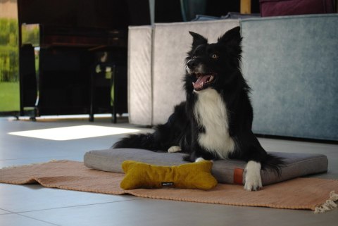 Materac ortopedyczny dla psa - Basic Ross