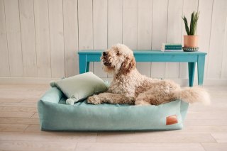 Legowisko ortopedyczne dla psa - Cuddle Classic