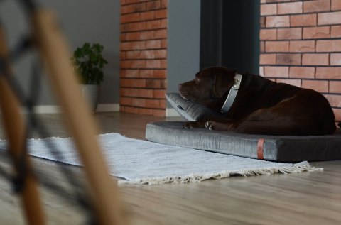 Materac ortopedyczny dla psa - Smart Ross