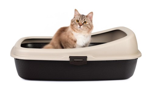 Kuweta Classic beżowy&brązowy